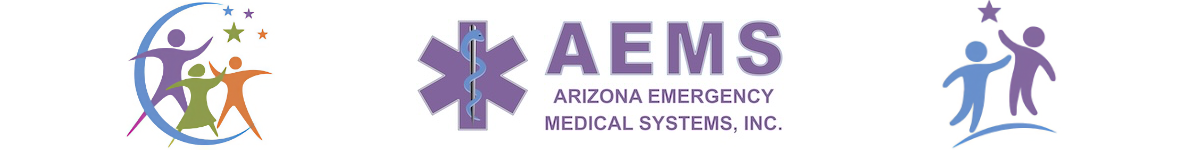 EMS Odyssey Hub